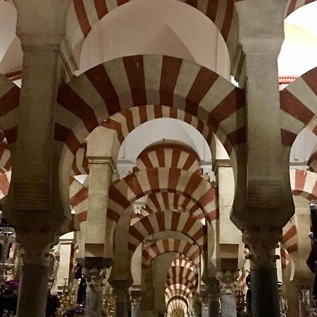 Ribera Del Quivir Lejlighed Córdoba Eksteriør billede